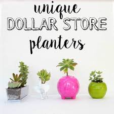 4.4 out of 5 stars with 40 ratings. Unique Dollar Store Planters