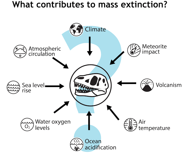 Correcting common misconceptions about mass extinctions