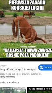 Przez dziesięć lat trwania serialu wyprodukowano dziesięć serii, każda po 13 odcinków. Memy O Jezdziectwie Cz 1 Samequizy