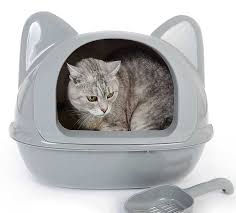 Kedi Tuvalet Egitimi Nasil Verilir Kedi Blog