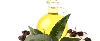11 فائدة مذهلة لزيت النيم ويب طب