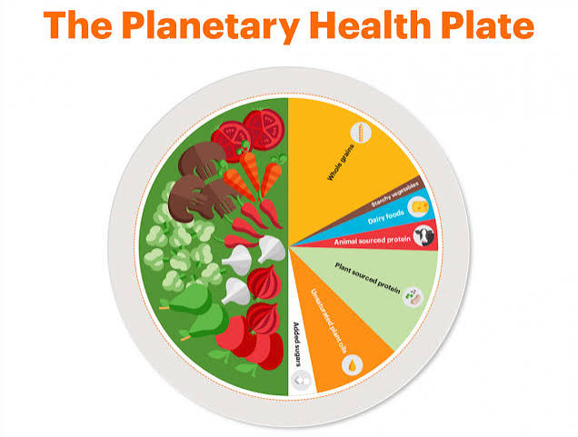 Planetary Health Diet: Pilihan Pola Makan Untuk Tubuh Sehat Dan Bumi  Terjaga | Siaran Berita