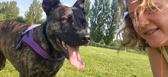 Hello, I'm Mary and something to know about me is I have a black Lab named  Bess. She is 3 as of July '24 and is a high energy , ball &