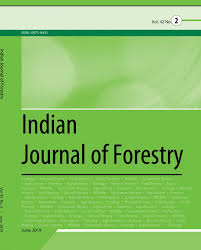 Image result for Pseudechinolaena