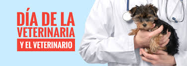 Como bien mencionamos, el inicio de los estudios en veterinaria dentro del país se dio en lomas de zamora allá por 1883. 6 De Agosto Dia Del Veterinario En Argentina Tarjetas Y Frases Espacioteca