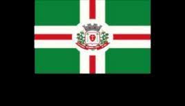 DECRETO Nº 10.478/2025 APROVA O DESMEMBRAMENTO DO IMÓVEL OBJETO DA  MATRÍCULA IMÓBILIARIA Nº 56.785, DE PROPRIEDADE DE PAULO