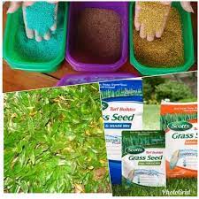 Kami siap membantu anda dalam bentuk pengiriman dan juga penanaman. Jual Benih Rumput Taman Biji Rumput Gajah Mini Di Lapak Indo Grass Land Bukalapak