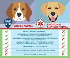 Compare Emotional Support Animal Psychiatric Service Dog Service Animal