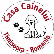 Tierheim Casa Cainelui