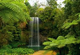 Maybe you would like to learn more about one of these? Xxl Photo Wallpaper Mural Waterfall Tropical Jungle