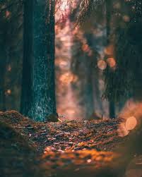 Free Cb Edits Background Full Hd Download 2020 Download beautiful, curated free backgrounds on unsplash. cb edits background full hd download 2020