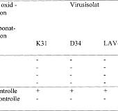 DE102005037096A1 - Medicament, useful to treat or prevent ...