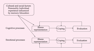 The Importance Of Health Belief Models In Determining Self Care Behaviour In Diabetes Harvey 2009 Diabetic Medicine Wiley Online Library
