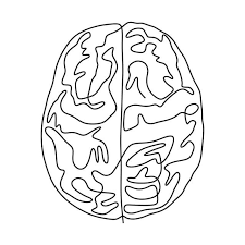 Continuous One Line Drawing Brain Anatomy Medical Theme Isolated On White Background Vector Illustration Minimalism Design Line Brain Continuous Png And Vect Brain Illustration Brain Drawing Line Art Drawings