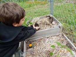 Visit okc highlights this month's events happening in and around oklahoma city. Month By Month Vegetable Planting Guide For Gardeners