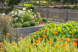 Aux Abords Directs Du Restaurant Le Potager Fait Office De Sentinelle Pour Voir Au Fil Des Saisons Ce Que Produit Le Terroir De Potager Bio Potager Jardins