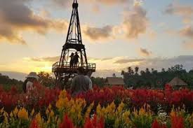 Nomor kode pos kebun bunga, kecamatan sukarami, kota palembang, propinsi sumatera selatan Tabanan Merdeka Com Taman Bunga Blayu Tabanan Yang Perlu Kamu Kunjungi