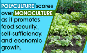 Difference Between The Monoculture And Polyculture Farming