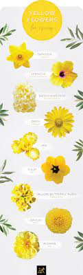 The magnitude of a genuine friendship leaves no room for doubt. 30 Types Of Yellow Flowers Ftd Com