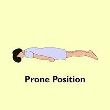 Image result for Proning