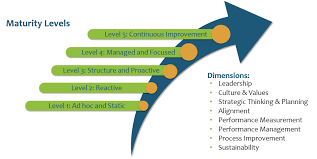 Maturity meaning, definition, what is maturity: The Strategic Management Maturity Model Strategy Management Group
