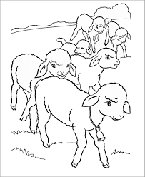 If you want sheep picture for coloring yourself then you need to click on black & white print link. Sheep Coloring Page For Kids Coloringbay