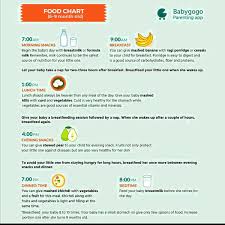 Please Suggest Food Chart For My Baby She Has Completed 6 Month