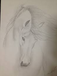 Cavallo Disegno A Matita Disegni Di Cavalli Disegni Disegnare Animali