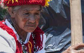 The language and people nathan page linguistics 450. Guarani