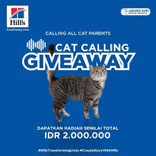 Check spelling or type a new query. Jawaban Kuis Happy Pet Story Happy Pet Story Virtual Sim Mod Apk Unlimited Money And David Leo