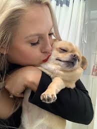 Looking for a roommate in Chicago neighborhoods?