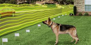 Check spelling or type a new query. Top 10 Best Invisible Dog Fence To Buy In 2020 Detailed Reviews Wireless Dog Fence