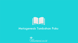 Gametofit dan sporofit adalah dua fase yang terjadi selama perubahan generasi pada tumbuhan dan alga. Metagenesis Tumbuhan Paku Pengertian Ciri Jenis Manfaat Struktur