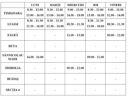 Acces gratuit la date din registrul bunurilor imob. Programul Actualizat De Eliberare A Cazierului Judiciar In TimiÈ™ Se Redeschide GhiÈ™eul Din Sannicolau Mare