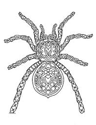 The intricate and unique detailed patterns of the spider web fascinate kids and adults greatly. Spider Zentangle Coloring Page By Pamela Kennedy Tpt