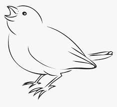 We did not find results for: House Sparrow Bird Drawing Clip Art Drawing Of Sparrow Bird Hd Png Download Transparent Png Image Pngitem