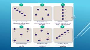 Check spelling or type a new query. Vidio Pola Lantai Youtube