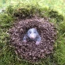 Animal Taupe Miniature Jardin Maison De Poupees Echelle 1 12 Etsy