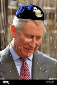 The prince wales talking hi-res stock photography and images