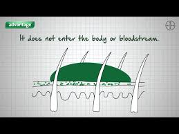 How To Use Advantage Flea Treatment Youtube