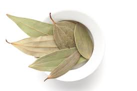 Macro Close-up of Organic Indian Bay ...