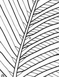 Palm Leaf Coloring Page Awesome Palm Tree Coloring Page Beach Art Digital Tree Coloring Page Leaf Coloring Page Coloring Pages