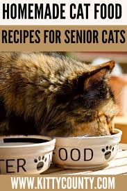 Homemade diets for senior cats. Homemade Cat Food Recipes For Senior Cats Kitty County Homemade Cat Food Homemade Cat Senior Cat