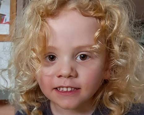 Gus Lamont's parents make emotional plea as $1m reward offered for information about disappearance | South Australia | The Guardian