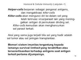 Filtrasi di bawah bit ° filtrasi di bawah bit adalah filtrasi dinamik yang terinvasi melalui bawah bit. Imunitas Antibodi Alergi Hipersensitivitas Imunisasi Vaksinasi Ppt Download