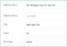 Address Line 1 Meaning, Uses, Placement, and Examples