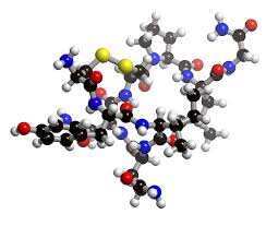 Frequently asked questions on oxytocin. Oxytocin What Is Oxytocin About Its Science Chemistry And Structure