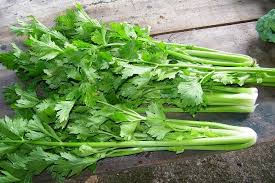 Daun ketumbar ni tak berapa ramai yang pakai kecuali untuk masak beberapa jenis masakan tertentu, terutamanya tomyam. Daun Ketumbar Vs Daun Sup Nak Lebih Sihat Makan Yang Mana Satu Kartel Dakwah