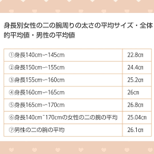 腕 周り 平均
