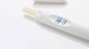 Wie sie cholesterinwerte richtig deuten. Test Schwangerschaftstests Ovulationstests Das Sind Die Besten Oko Test